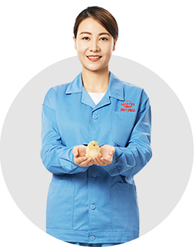 威斯尼斯wns888(中国游)官方网站入口